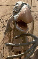 Skeksis